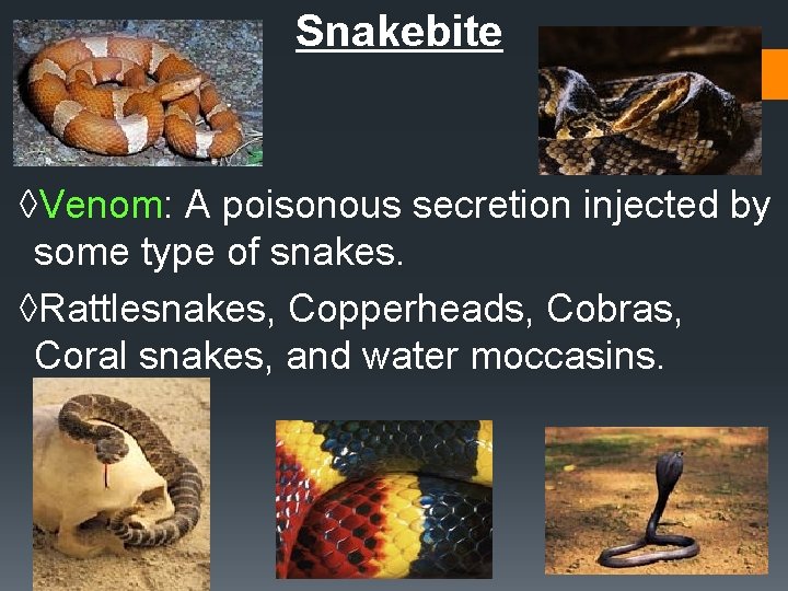 Snakebite ◊Venom: A poisonous secretion injected by some type of snakes. ◊Rattlesnakes, Copperheads, Cobras,