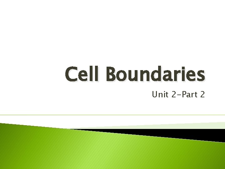Cell Boundaries Unit 2 -Part 2 