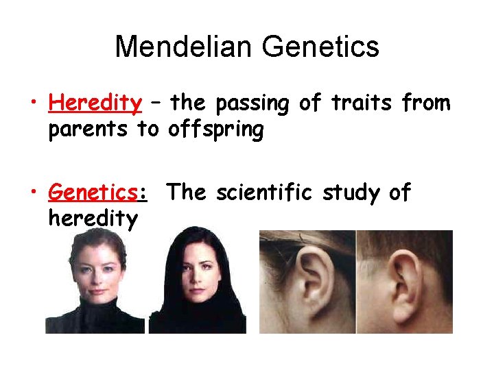 Mendelian Genetics • Heredity – the passing of traits from parents to offspring •