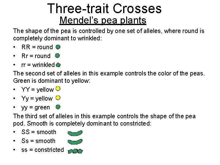 Three-trait Crosses Mendel’s pea plants The shape of the pea is controlled by one