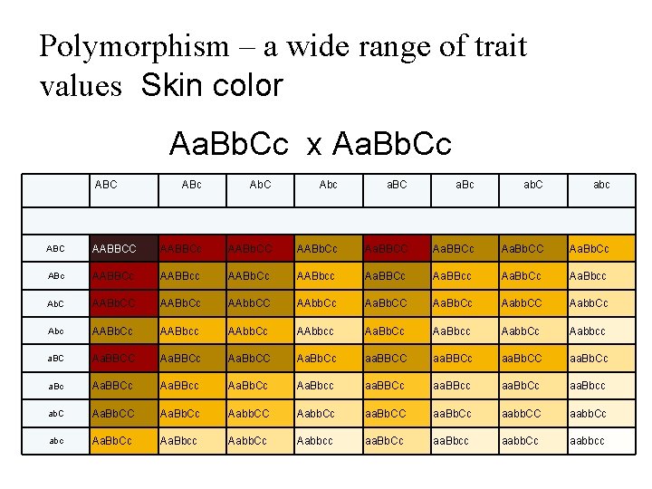 Polymorphism – a wide range of trait values Skin color Aa. Bb. Cc x