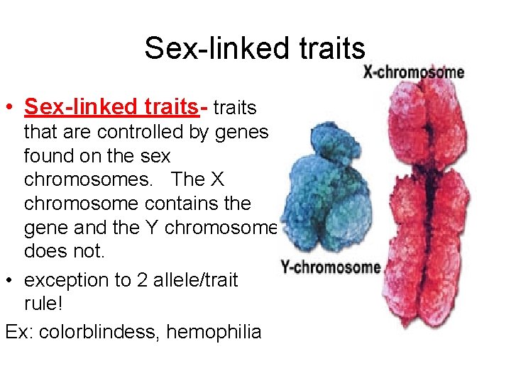 Sex-linked traits • Sex-linked traits- traits that are controlled by genes found on the