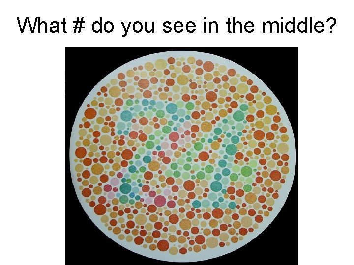 What # do you see in the middle? 