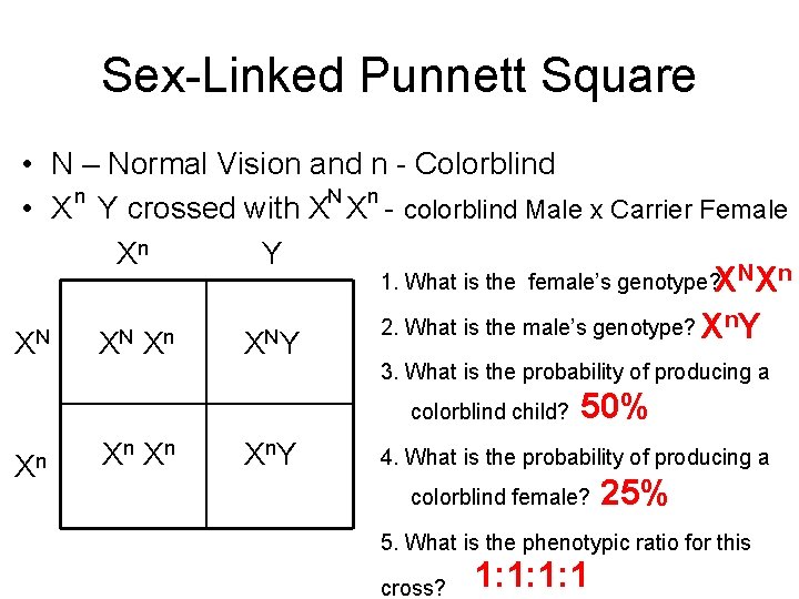 Sex-Linked Punnett Square • N – Normal Vision and n - Colorblind n N