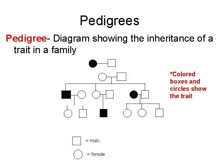 Pedigrees Pedigree- Diagram showing the inheritance of a trait in a family *Colored boxes