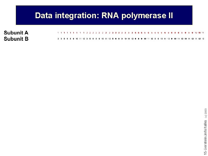 Do not reproduce without permission 1515 Gerstein. info/talks (c) 2003 Data integration: RNA polymerase