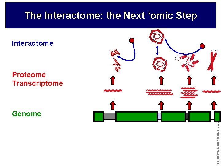 The Interactome: the Next ‘omic Step Interactome Proteome Transcriptome Do not reproduce without permission