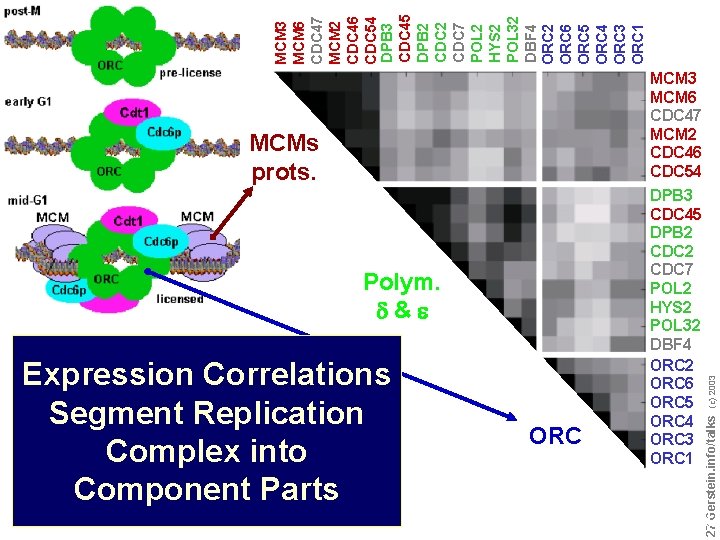 Expression Correlations Segment Replication Complex into Component Parts ORC Do not reproduce without permission