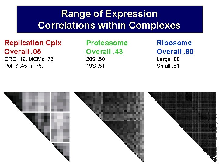 Range of Expression Correlations within Complexes Proteasome Overall. 43 Ribosome Overall. 80 ORC. 19,