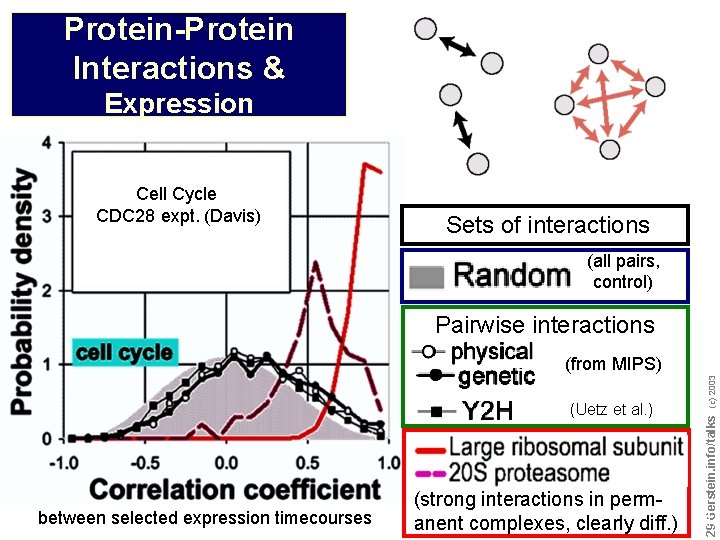 Protein-Protein Interactions & Expression Cell Cycle CDC 28 expt. (Davis) Sets of interactions (all