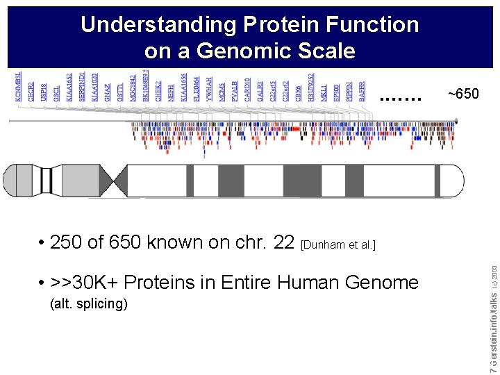 Understanding Protein Function on a Genomic Scale. …… ~650 (alt. splicing) Do not reproduce