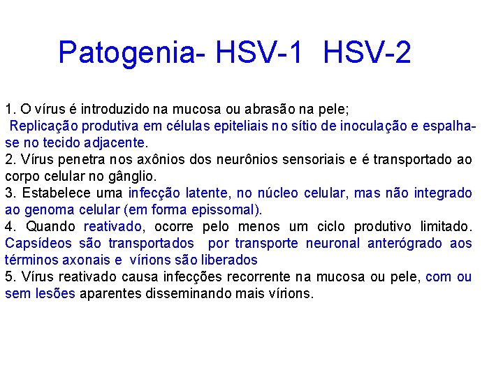 Patogenia- HSV-1 HSV-2 1. O vírus é introduzido na mucosa ou abrasão na pele;