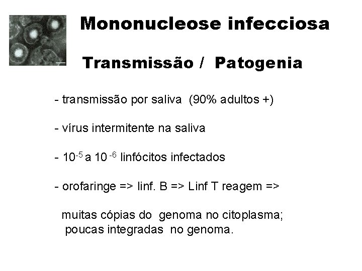 Mononucleose infecciosa Transmissão / Patogenia - transmissão por saliva (90% adultos +) - vírus