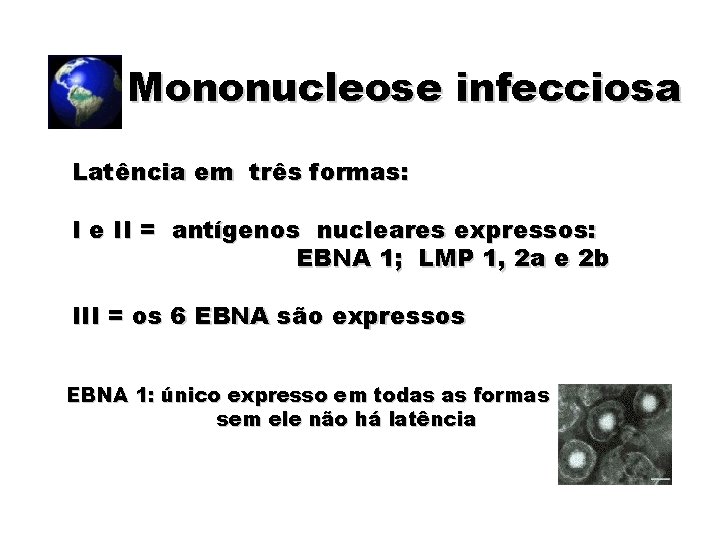Mononucleose infecciosa Latência em três formas: I e II = antígenos nucleares expressos: EBNA