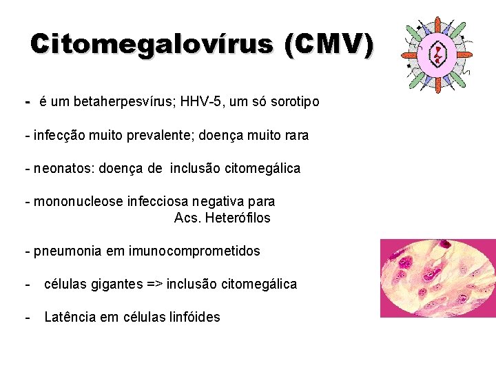 Citomegalovírus (CMV) - é um betaherpesvírus; HHV-5, um só sorotipo - infecção muito prevalente;
