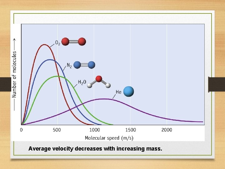 Velocity of Gas Particles Average velocity decreases with increasing mass. 