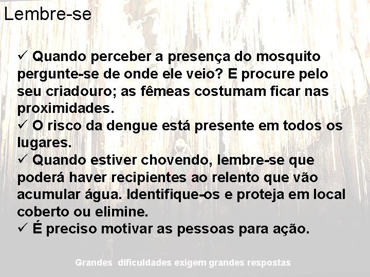 Lembre-se ü Quando perceber a presença do mosquito pergunte-se de onde ele veio? E