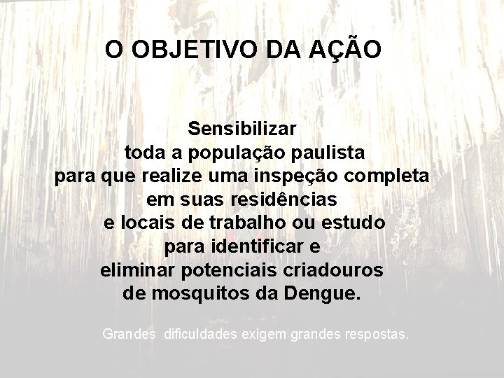 O OBJETIVO DA AÇÃO Sensibilizar toda a população paulista para que realize uma inspeção