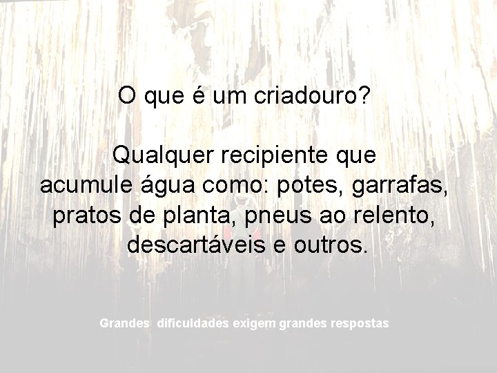 O que é um criadouro? Qualquer recipiente que acumule água como: potes, garrafas, pratos