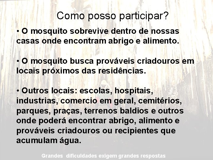 Como posso participar? • O mosquito sobrevive dentro de nossas casas onde encontram abrigo