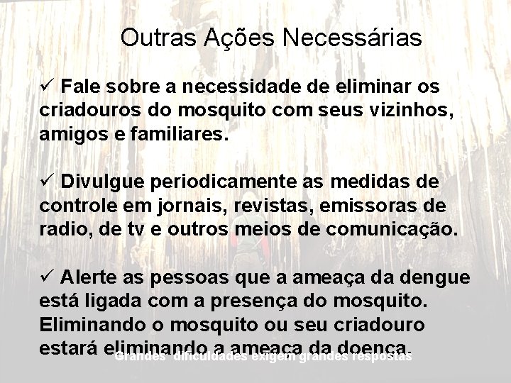 Outras Ações Necessárias ü Fale sobre a necessidade de eliminar os criadouros do mosquito