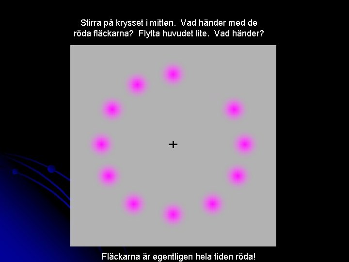 Stirra på krysset i mitten. Vad händer med de röda fläckarna? Flytta huvudet lite.