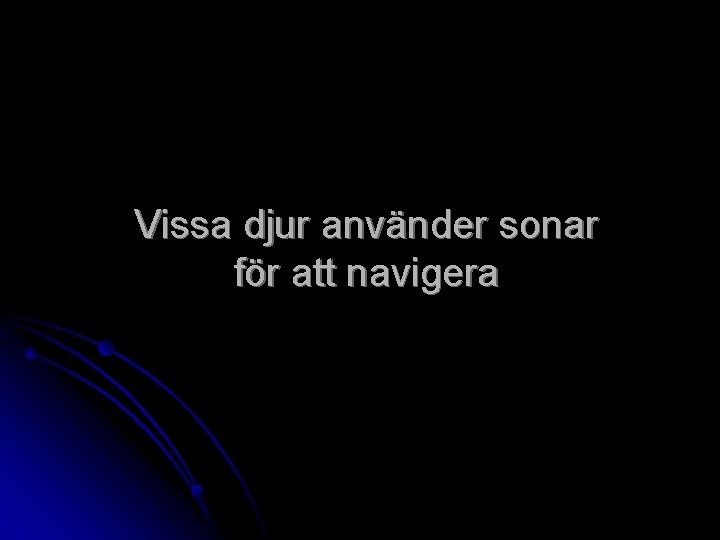 Vissa djur använder sonar för att navigera 