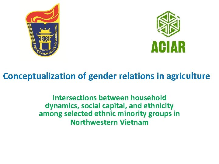 Conceptualization of gender relations in agriculture Intersections between household dynamics, social capital, and ethnicity
