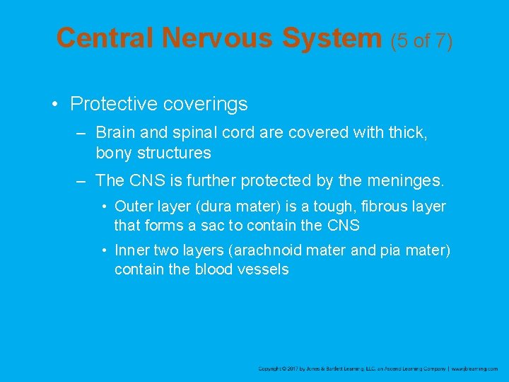 Central Nervous System (5 of 7) • Protective coverings – Brain and spinal cord