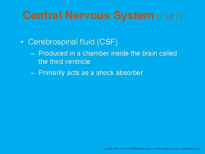 Central Nervous System (7 of 7) • Cerebrospinal fluid (CSF) – Produced in a