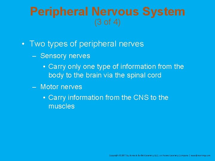 Peripheral Nervous System (3 of 4) • Two types of peripheral nerves – Sensory