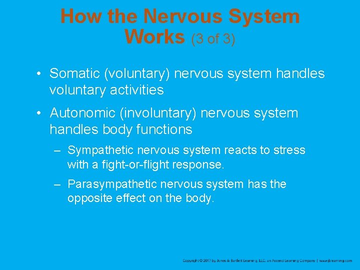 How the Nervous System Works (3 of 3) • Somatic (voluntary) nervous system handles