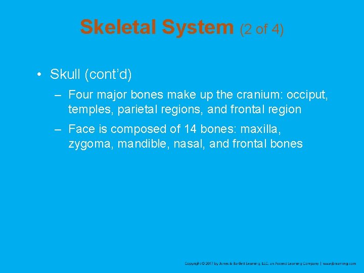 Skeletal System (2 of 4) • Skull (cont’d) – Four major bones make up