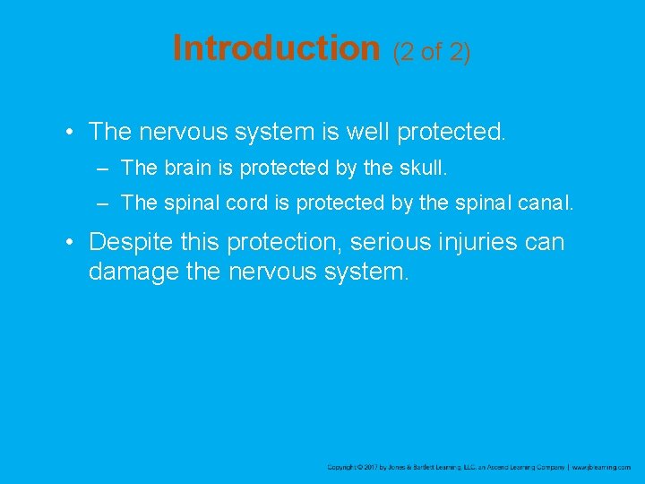 Introduction (2 of 2) • The nervous system is well protected. – The brain