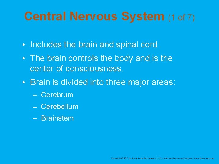 Central Nervous System (1 of 7) • Includes the brain and spinal cord •
