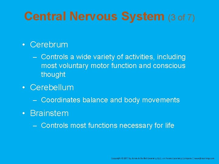 Central Nervous System (3 of 7) • Cerebrum – Controls a wide variety of