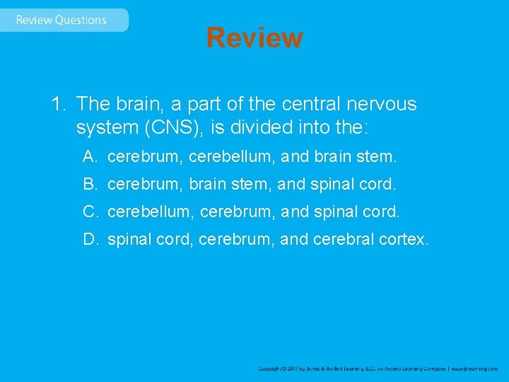 Review 1. The brain, a part of the central nervous system (CNS), is divided