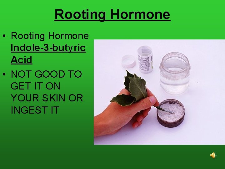 Rooting Hormone • Rooting Hormone Indole-3 -butyric Acid • NOT GOOD TO GET IT