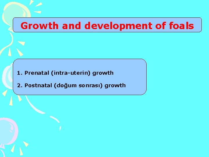 Growth and development of foals 1. Prenatal (intra-uterin) growth 2. Postnatal (doğum sonrası) growth