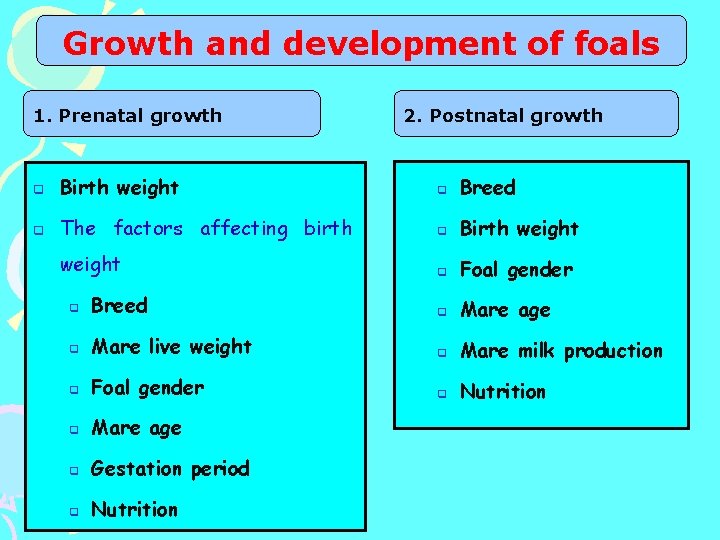 Growth and development of foals 1. Prenatal growth 2. Postnatal growth q Birth weight