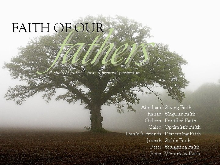 FAITH OF OUR fathers A study of faith. . . from a personal perspective