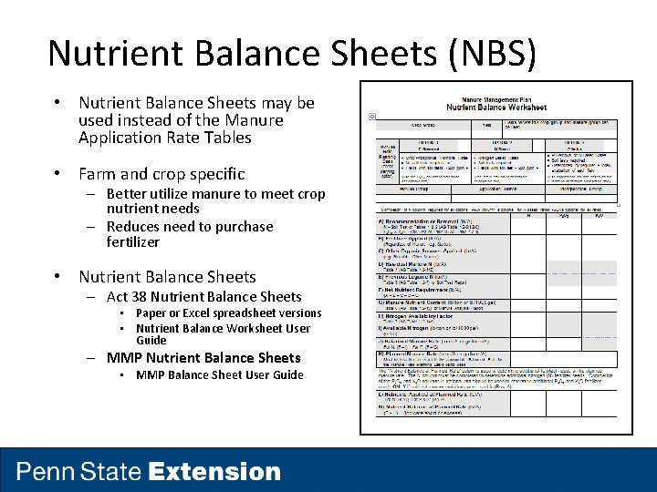 Nutrient Balance Sheets (NBS) • Nutrient Balance Sheets may be used instead of the