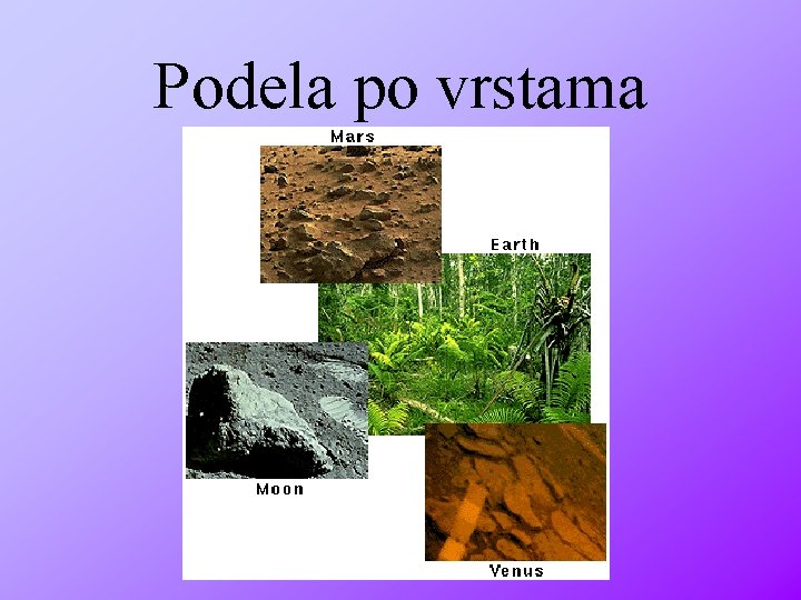 Podela po vrstama 