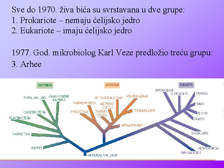 Sve do 1970. živa bića su svrstavana u dve grupe: 1. Prokariote – nemaju