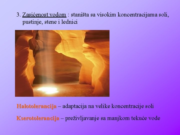 3. Zasićenost vodom : staništa sa visokim koncentracijama soli, pustinje, stene i lednici Halotolerancija