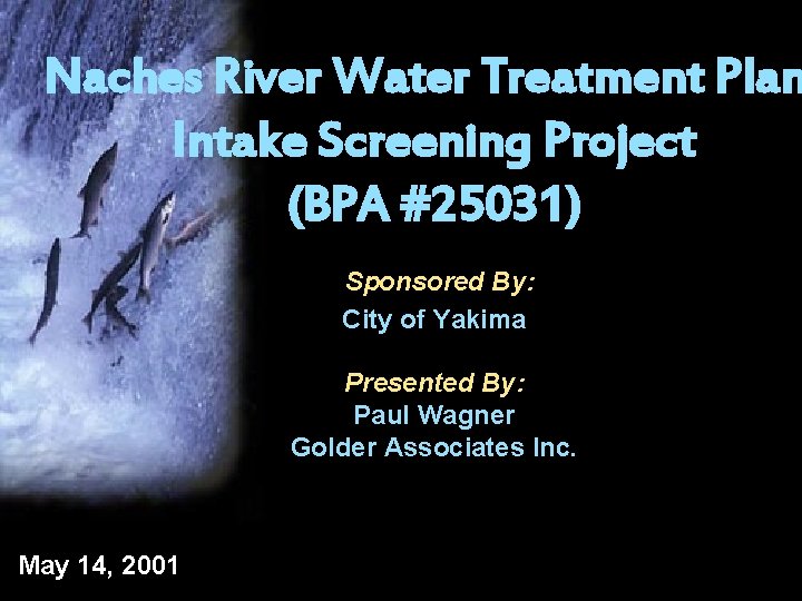 Naches River Water Treatment Plan Intake Screening Project (BPA #25031) Sponsored By: City of