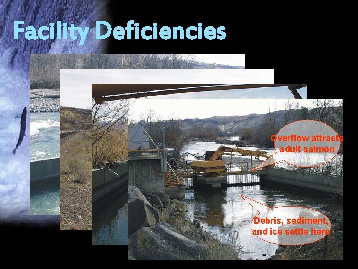 Facility Deficiencies River overflows wall at high flow Overflow attracts adult salmon Power plant