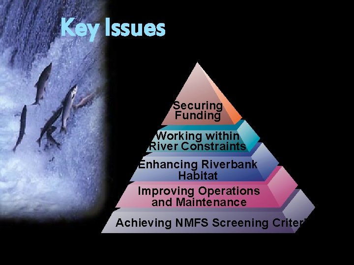 Key Issues Securing Funding Working within River Constraints Enhancing Riverbank Habitat Improving Operations and