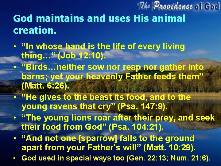 God maintains and uses His animal creation. • “In whose hand is the life God maintains and uses His animal creation. • “In whose hand is the life