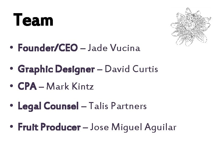 Team • Founder/CEO – Jade Vucina • Graphic Designer – David Curtis • CPA